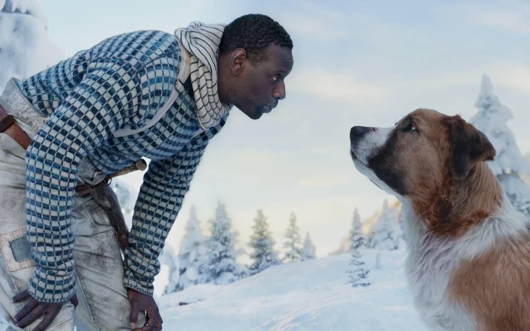 Perrault wird Buck trainieren.