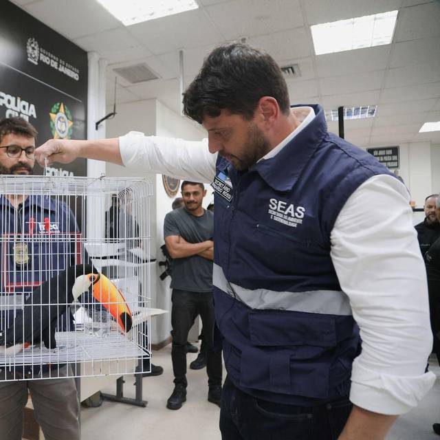 Großer Schlag gegen den illegalen Tierhandel in Brasilien