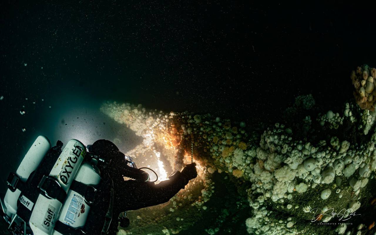 Von deutschem U-Boot versenkt: Forscher tauchen zu Wrack
