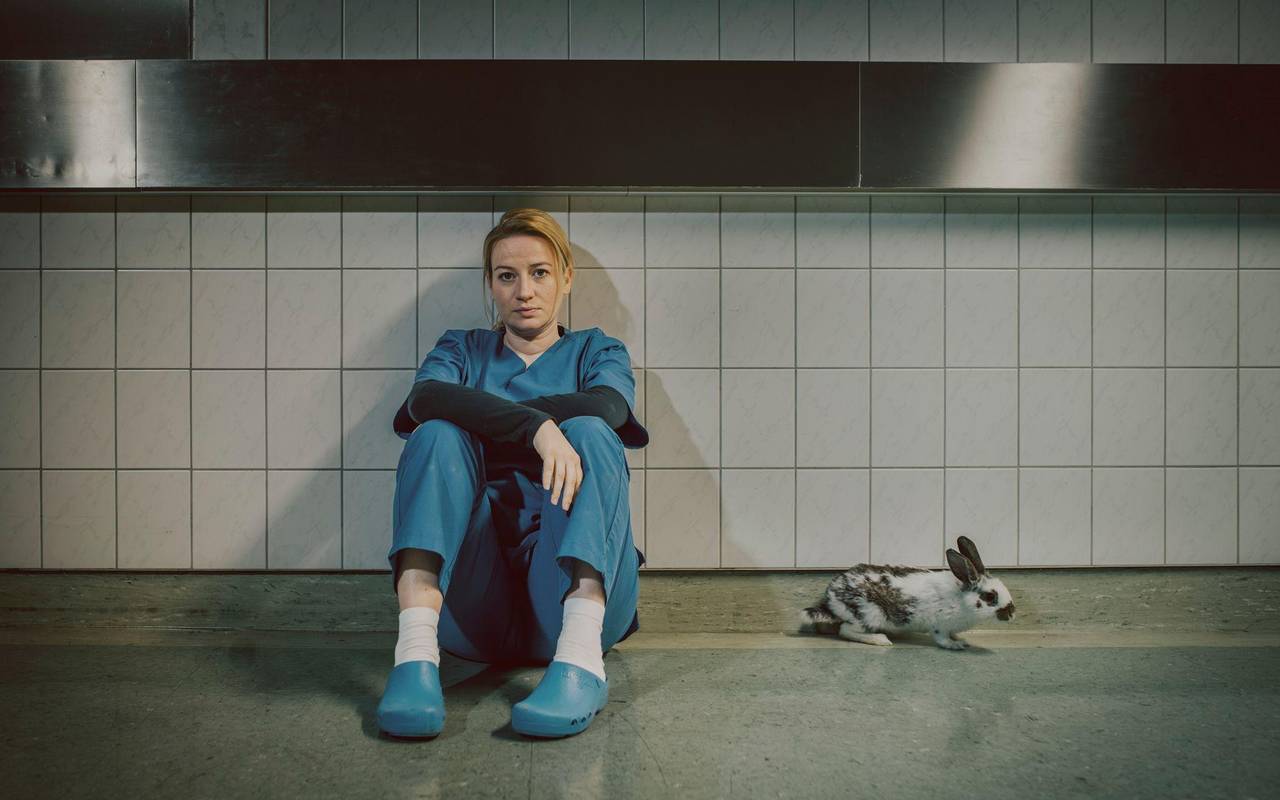 TV Ausblick - ZDF - «Theresa Wolff - Nebel»