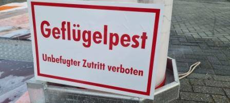 Niederrhein: Vogelgrippe-Lage bleibt vielfach angespannt