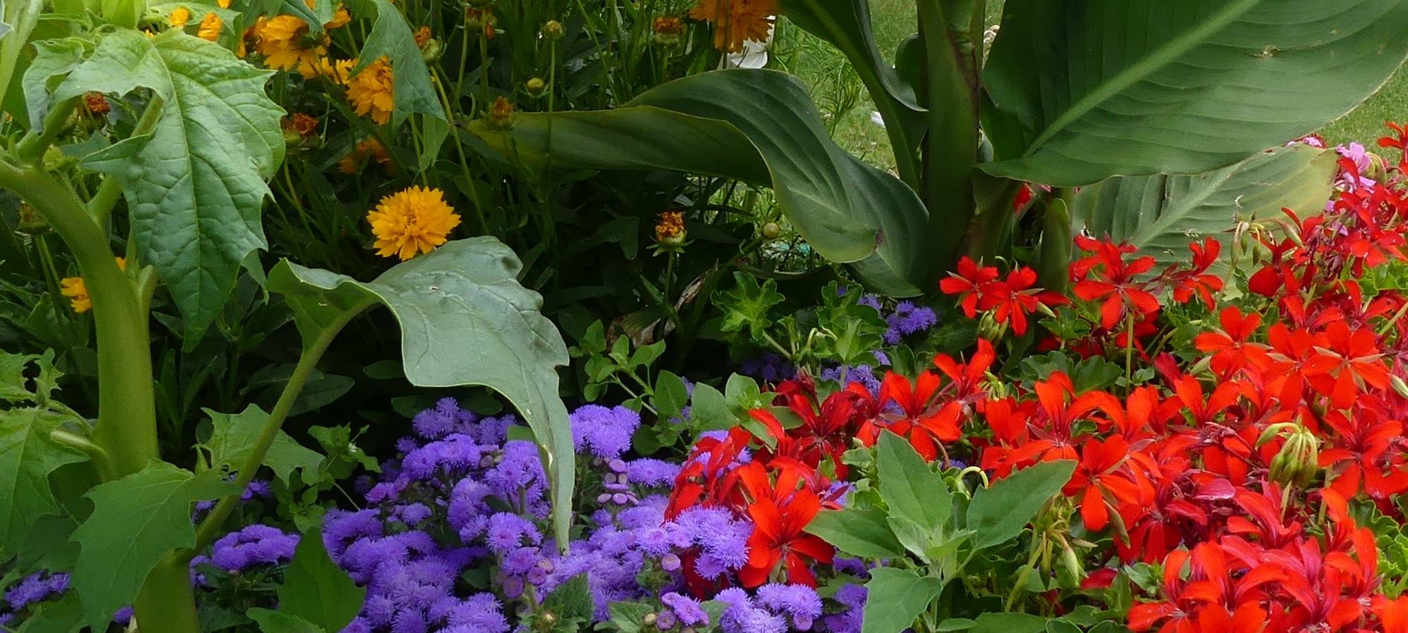 Sendung vom 10.5.2020