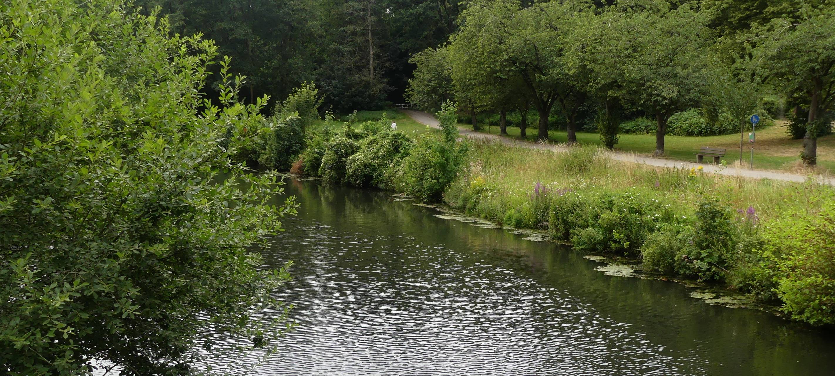 Kleve: Kinderwagen rollt ins Wasser