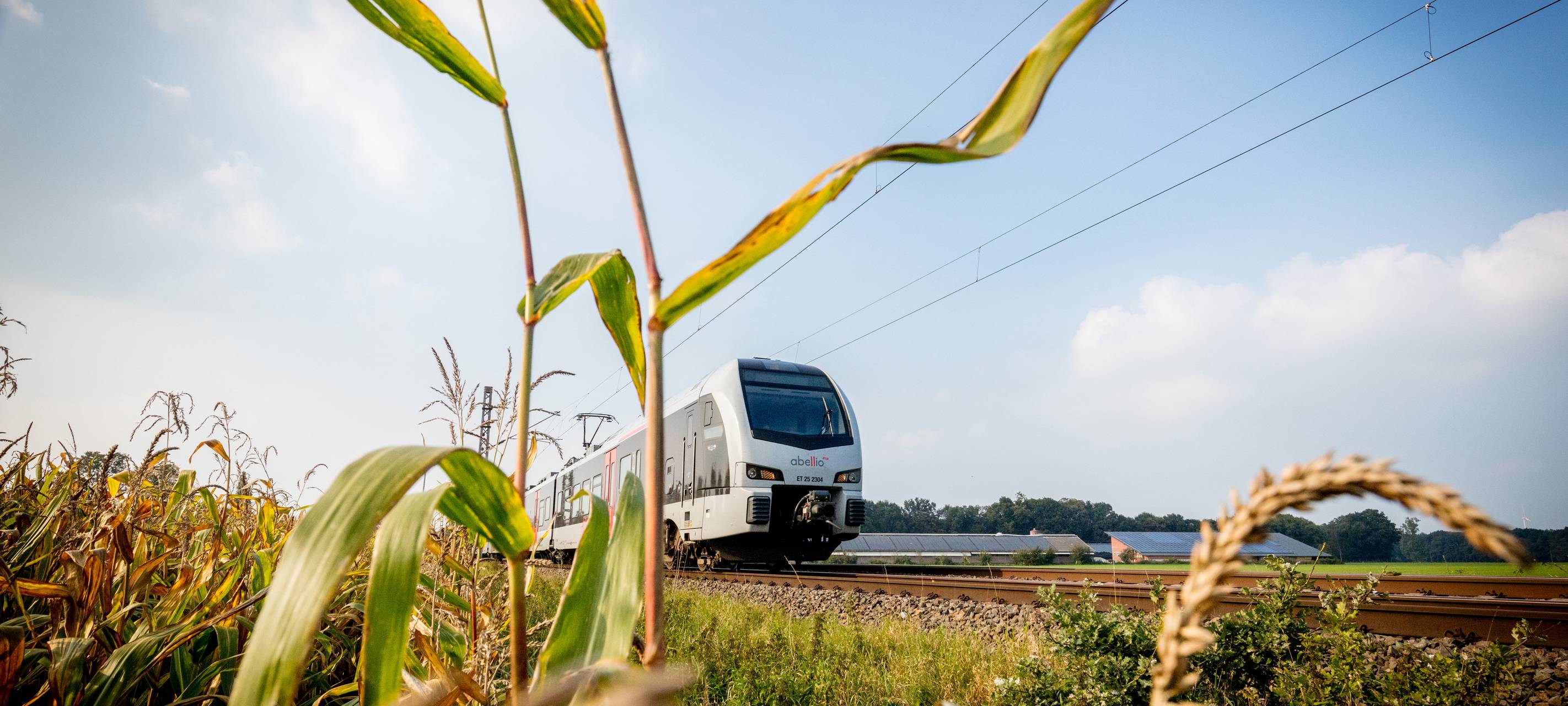 Niederrhein: Weitere Bahnarbeiten - Einschränkungen bei RE19