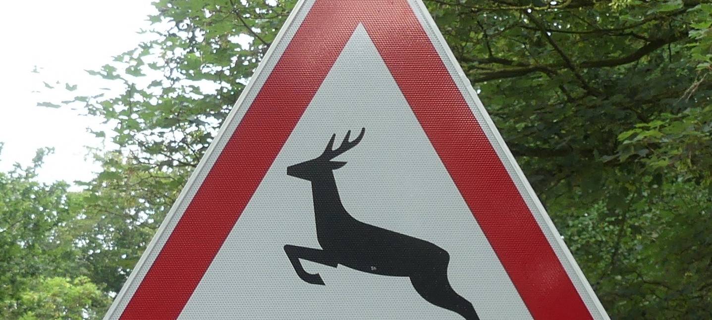 ACHTUNG: Vermehrt Wildunfälle nach Zeitumstellung