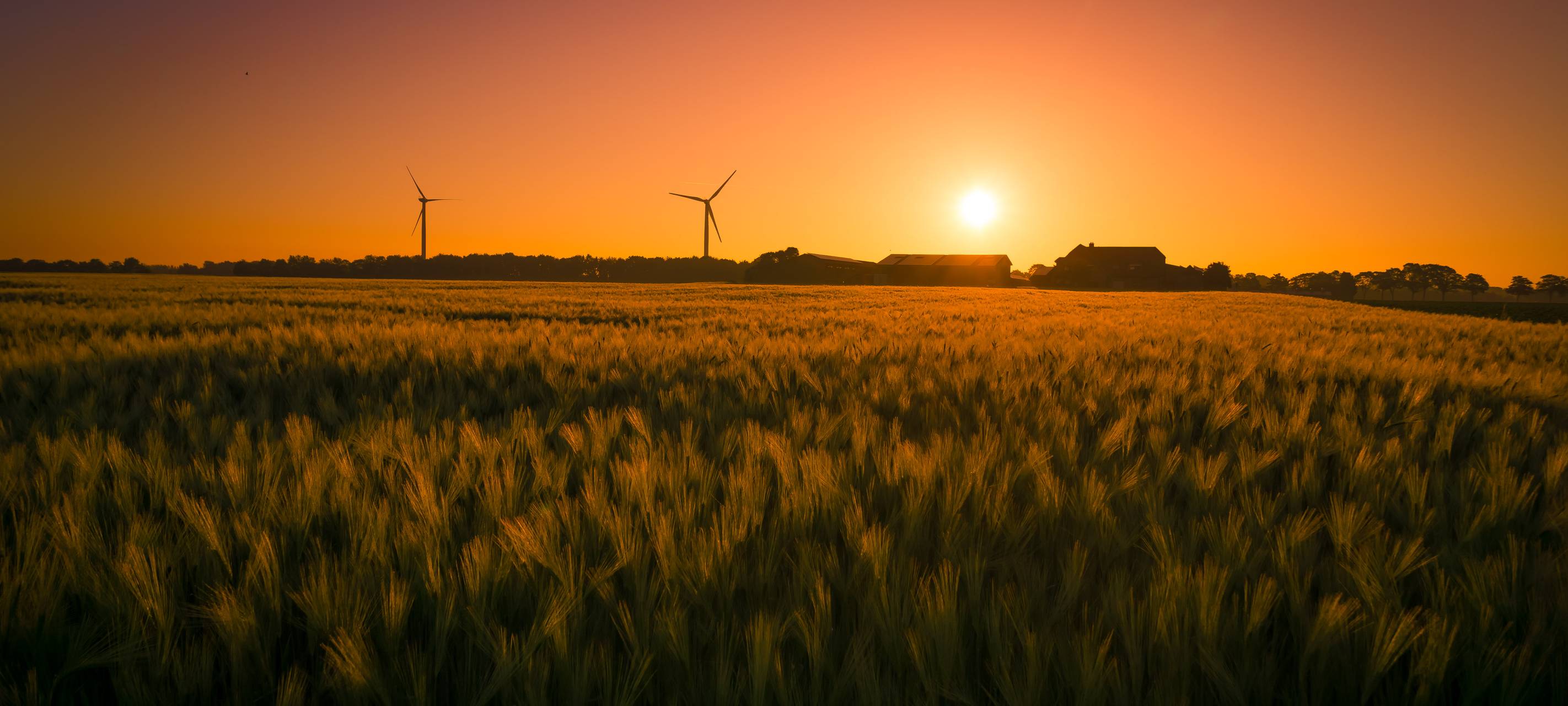 Sonnenaufgang im Naturschutzgebiet in Wachtendonk - Foto: Sven Bergmann