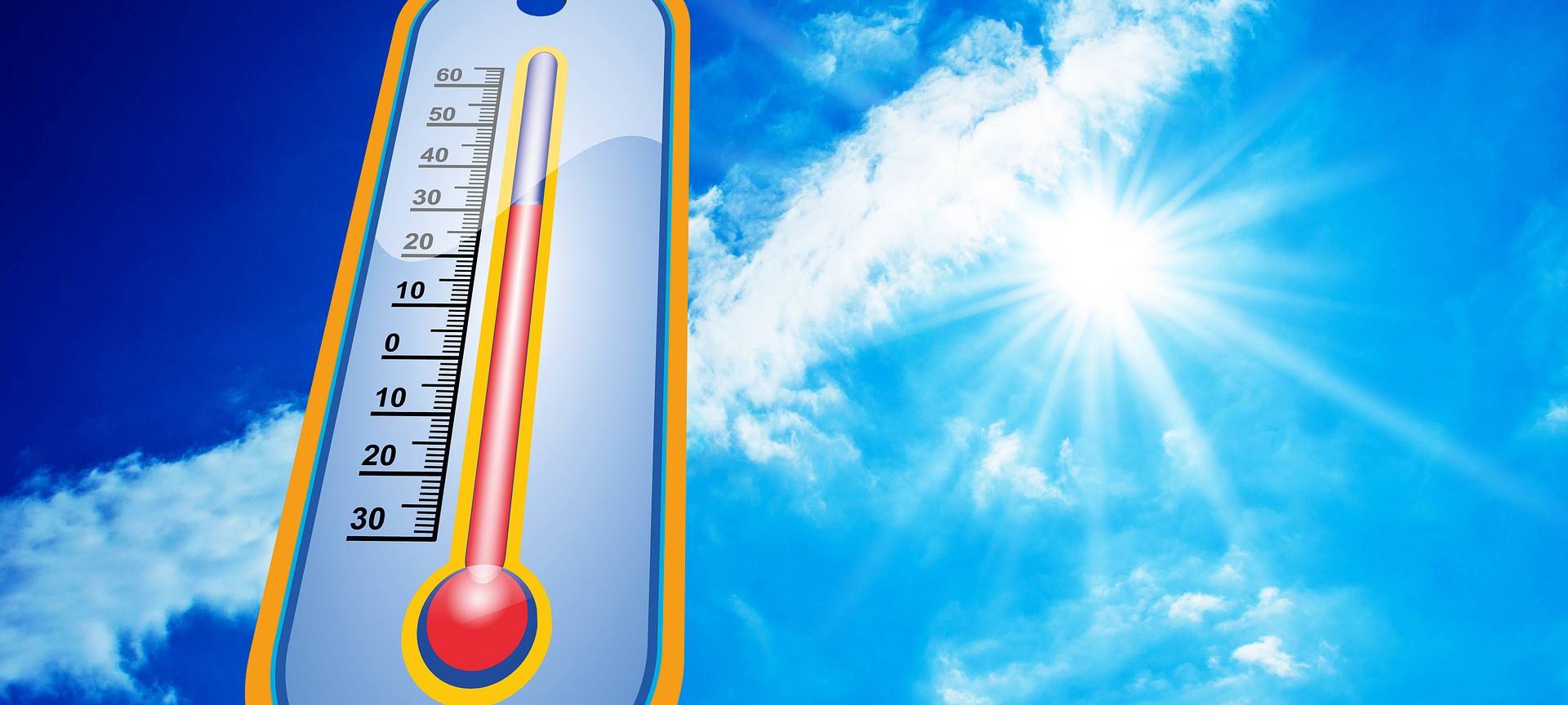 Kranenburg: PETA zeigt Hundehalter an