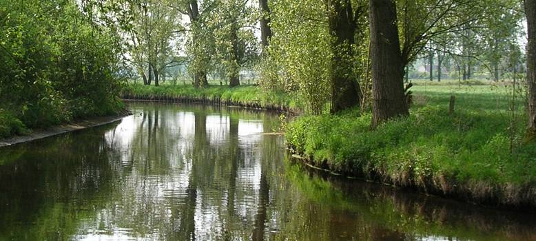 Niederrhein: Starkregen führt zu Fischsterben in der Niers
