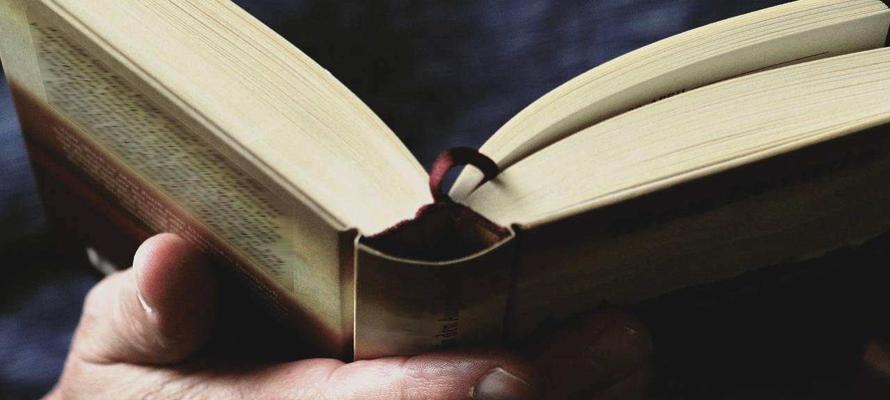 Bücher für Balkonien - Die literarischen Tipps der Redaktion