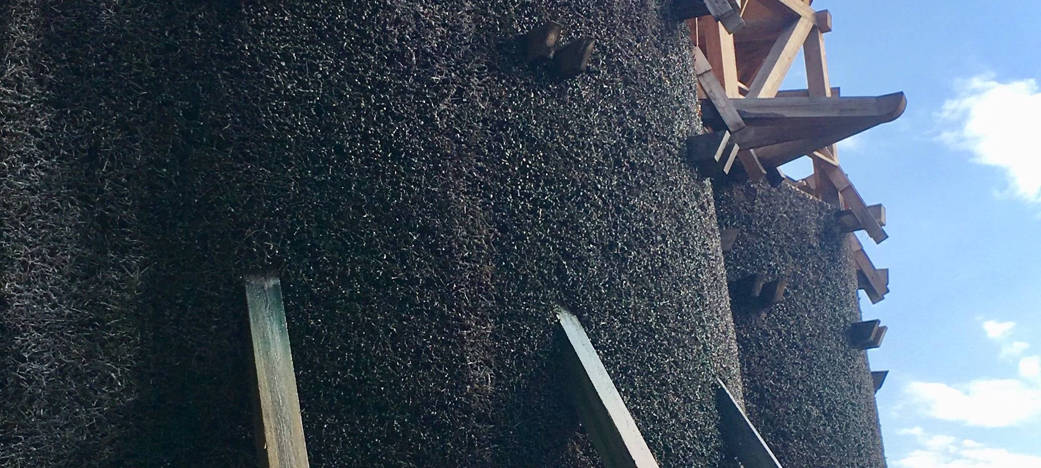 Kevelaer: Woche des Wassers