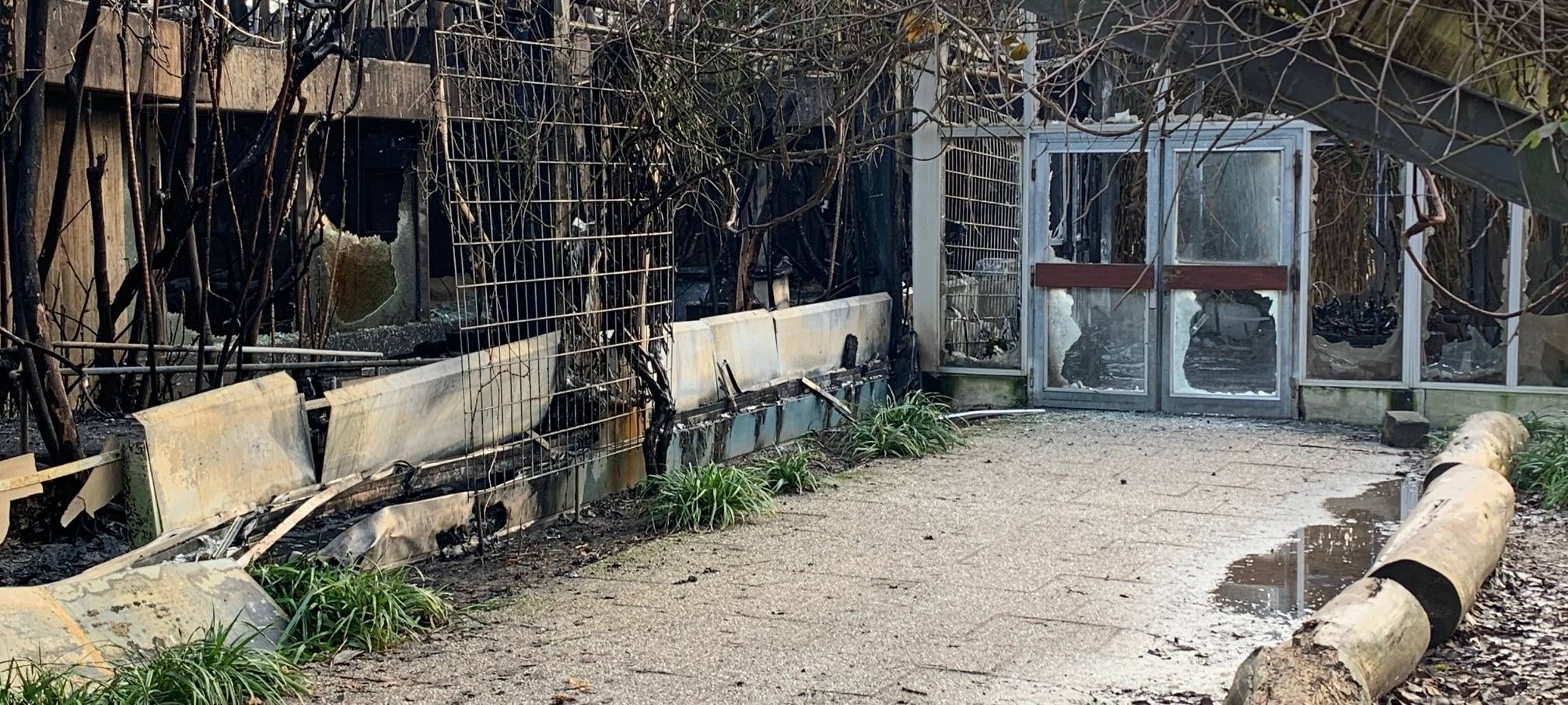 Niederrhein: Letzte Abrissarbeiten an zerstörtem Affenhaus