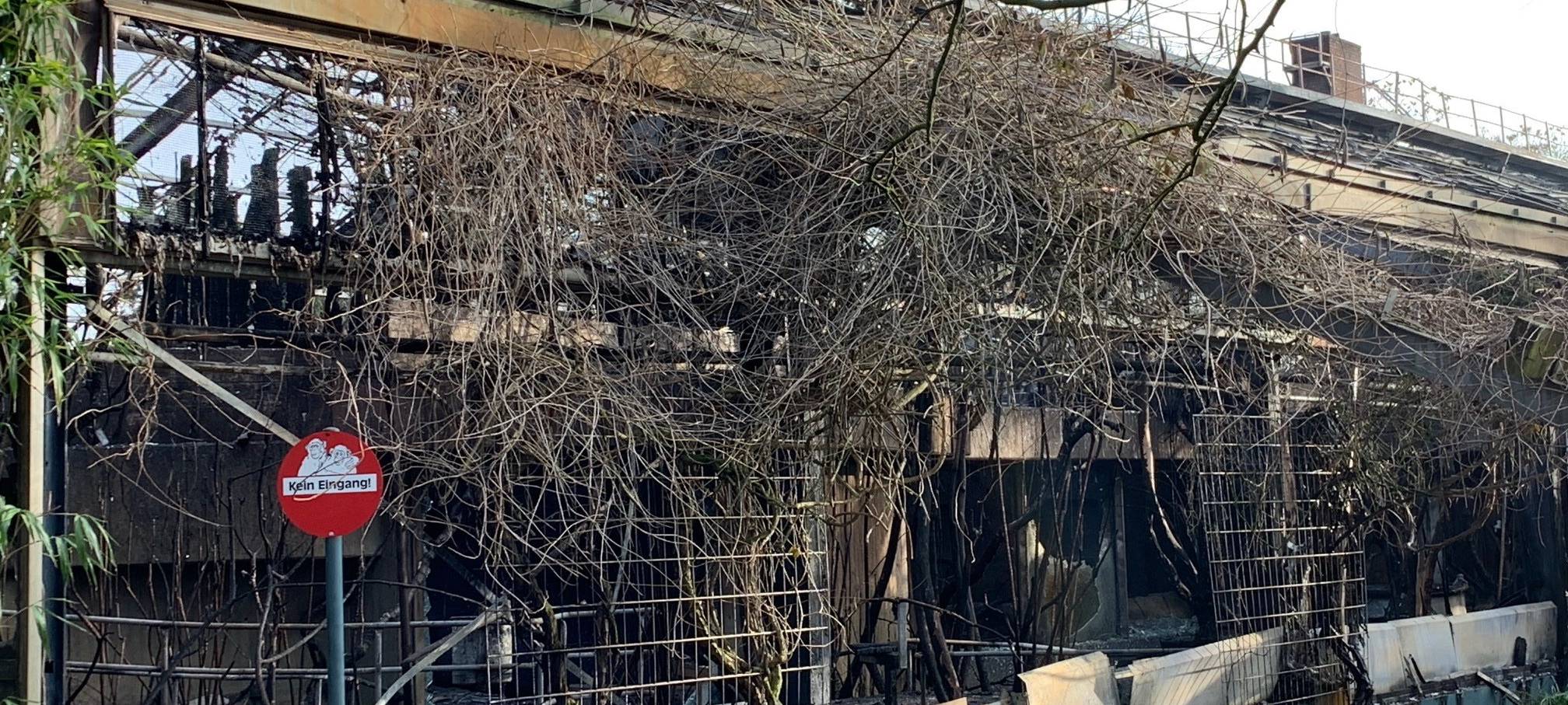 Krefeld: Nach Großbrand im Zoo präsentieren Sachverständige ihre Ergebnisse