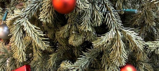 Ausgediente Weihnachtsbäume - Wohin damit?