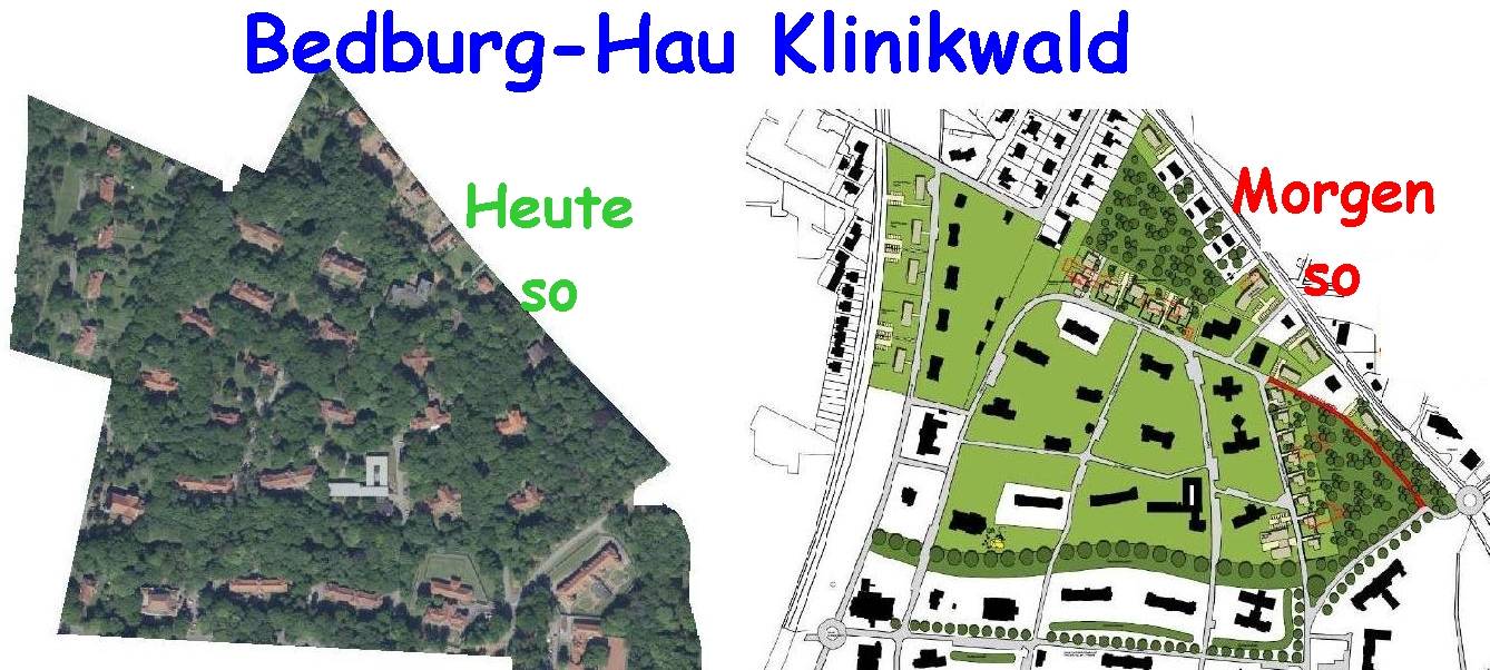 Bedburg-Hau: Bürgerbegehren soll Klinikwald retten