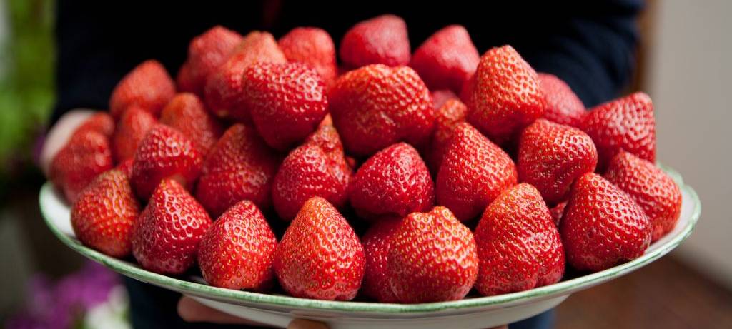 NRW/Niederrhein: Niedrigste Erdbeerernte seit 10 Jahren