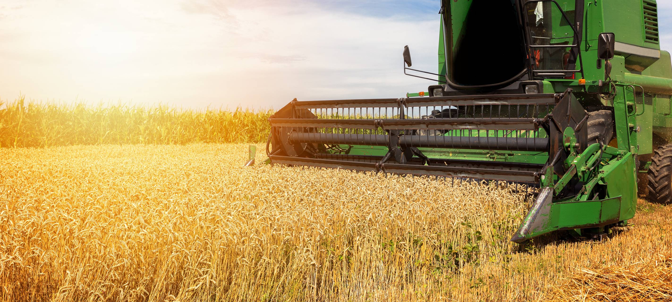 Mieses Wetter verhagelt vielerorts die Getreideernte
