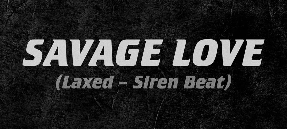 Jason Derulo & Jawsh 685 - Savage Love