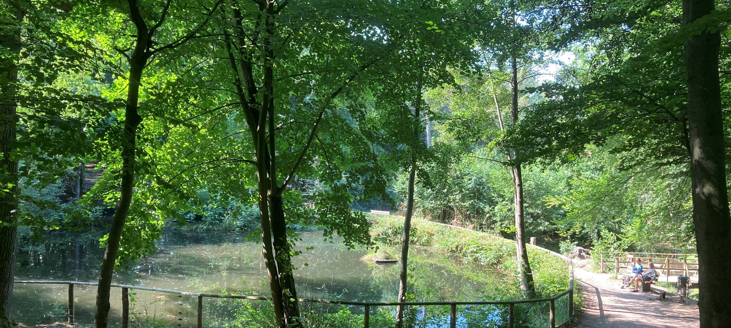 Wandern am Niederrhein