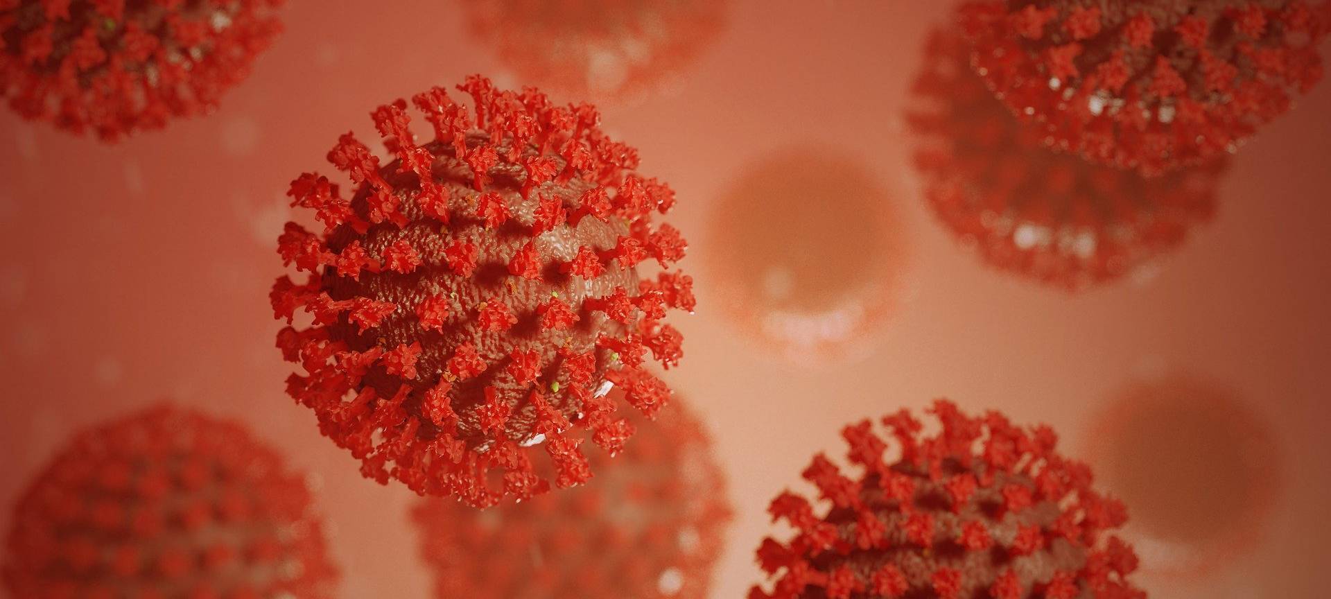 Coronaviren in einer 3D-Grafik