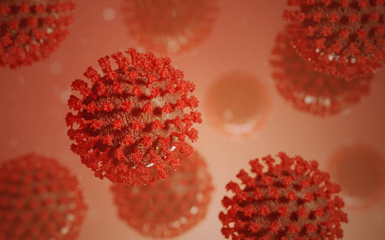 Coronaviren in einer 3D-Grafik