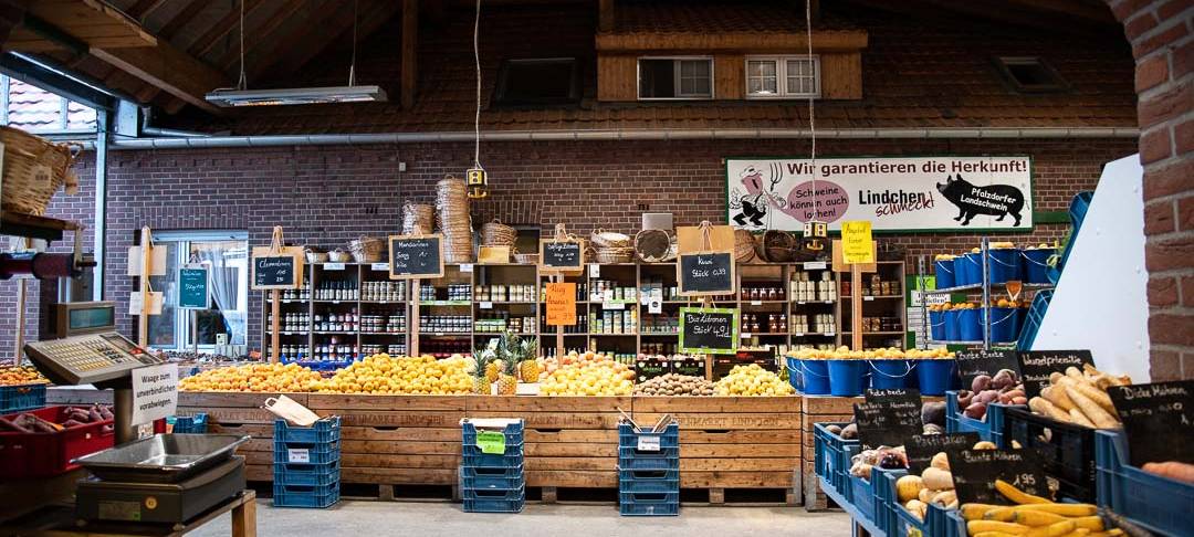 Herbstgemüse auf den Tisch
