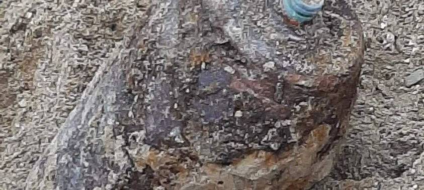 Kleve: Keine weiteren Weltkriegsbomben gefunden