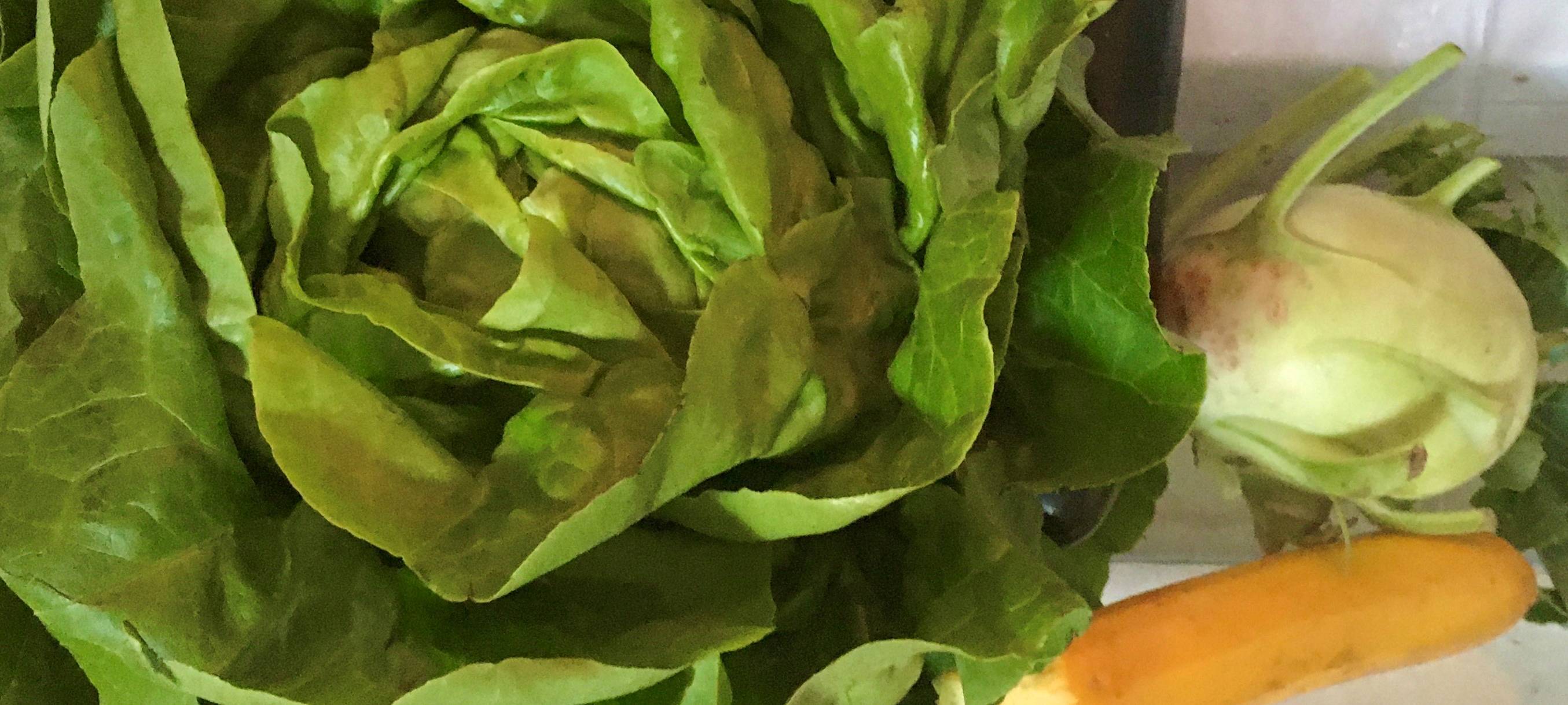 Nachhaltiger Einkaufsführer für den Niederrhein