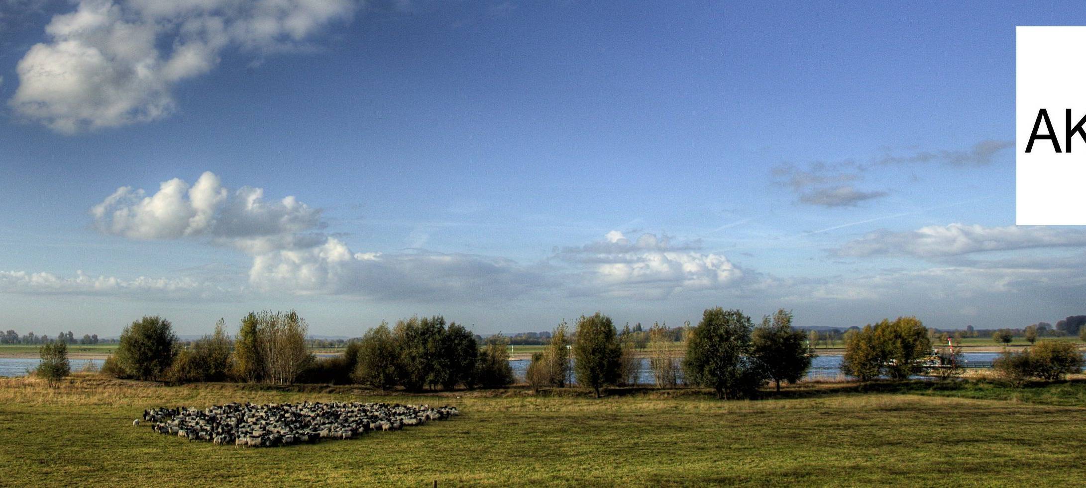 NRW/Niederrhein: Schleppendes Tempo bei Deichsanierungen?