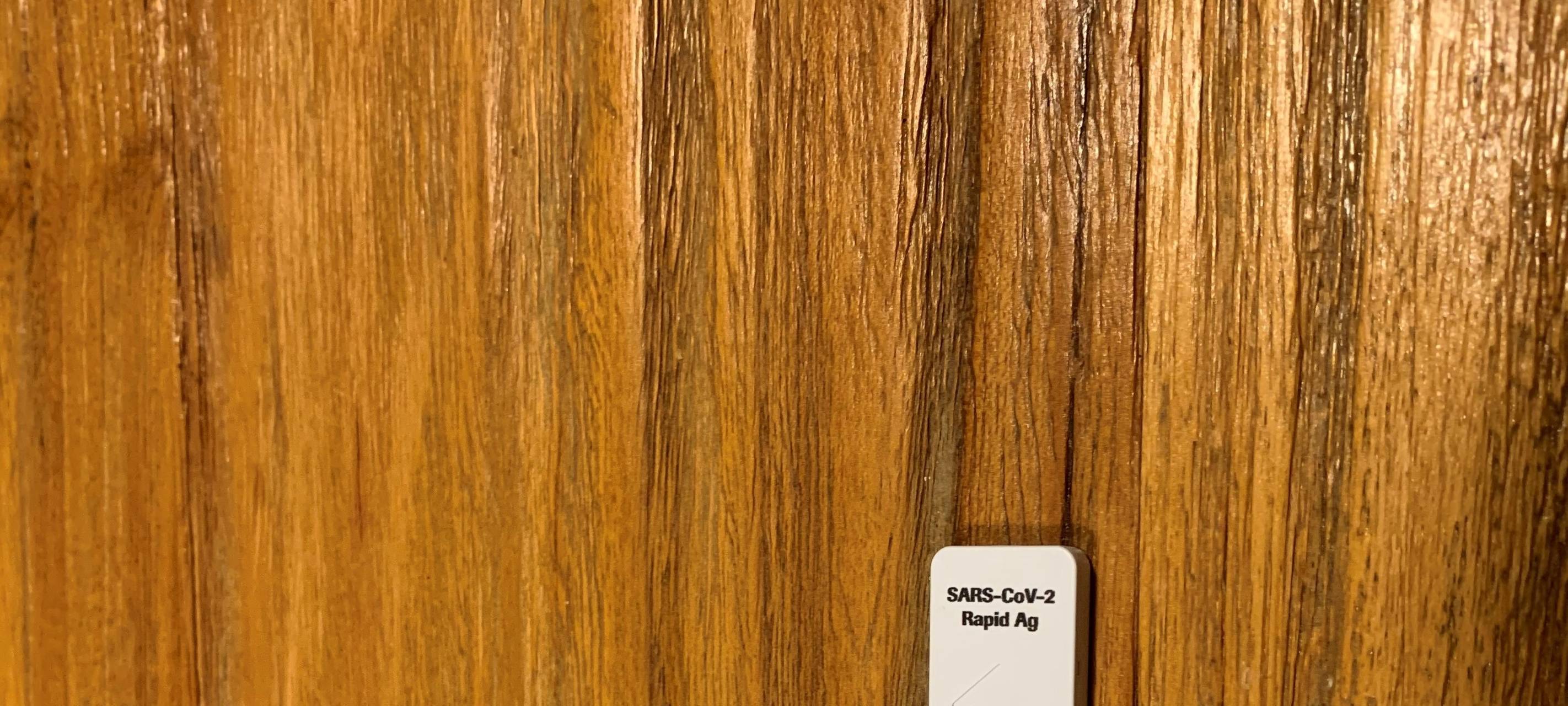 Schnelltests - Pro und Contra