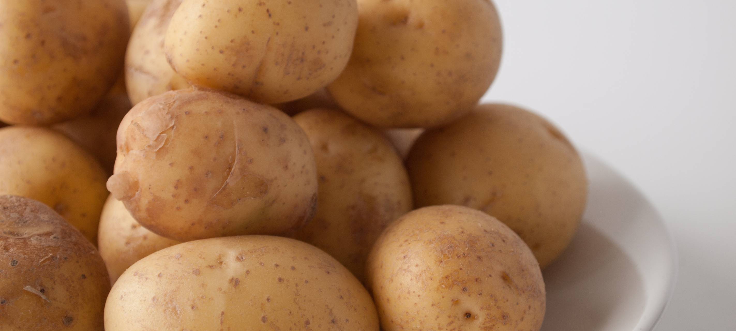 Kartoffelernte besser als gedacht