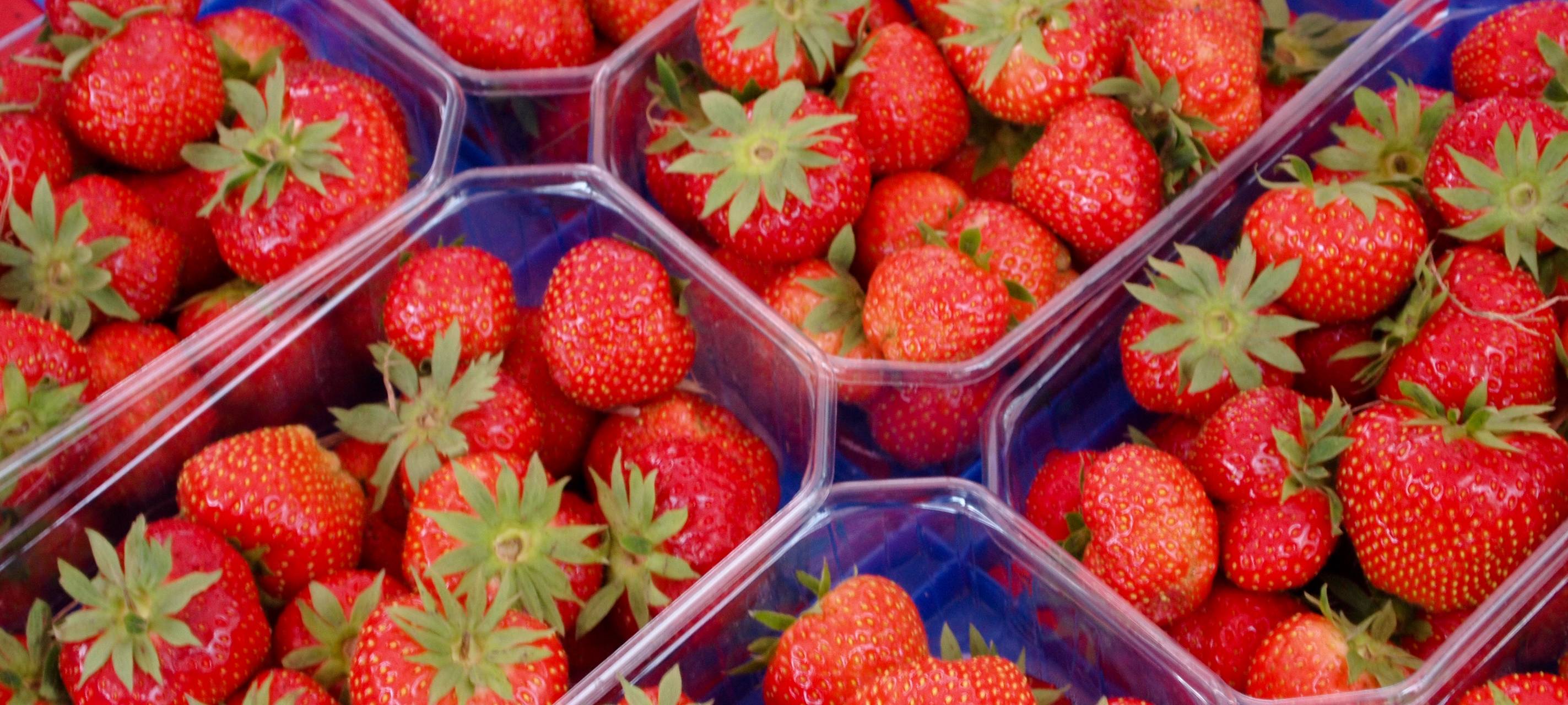 NRW/Niederrhein: Erdbeersaison hat begonnen