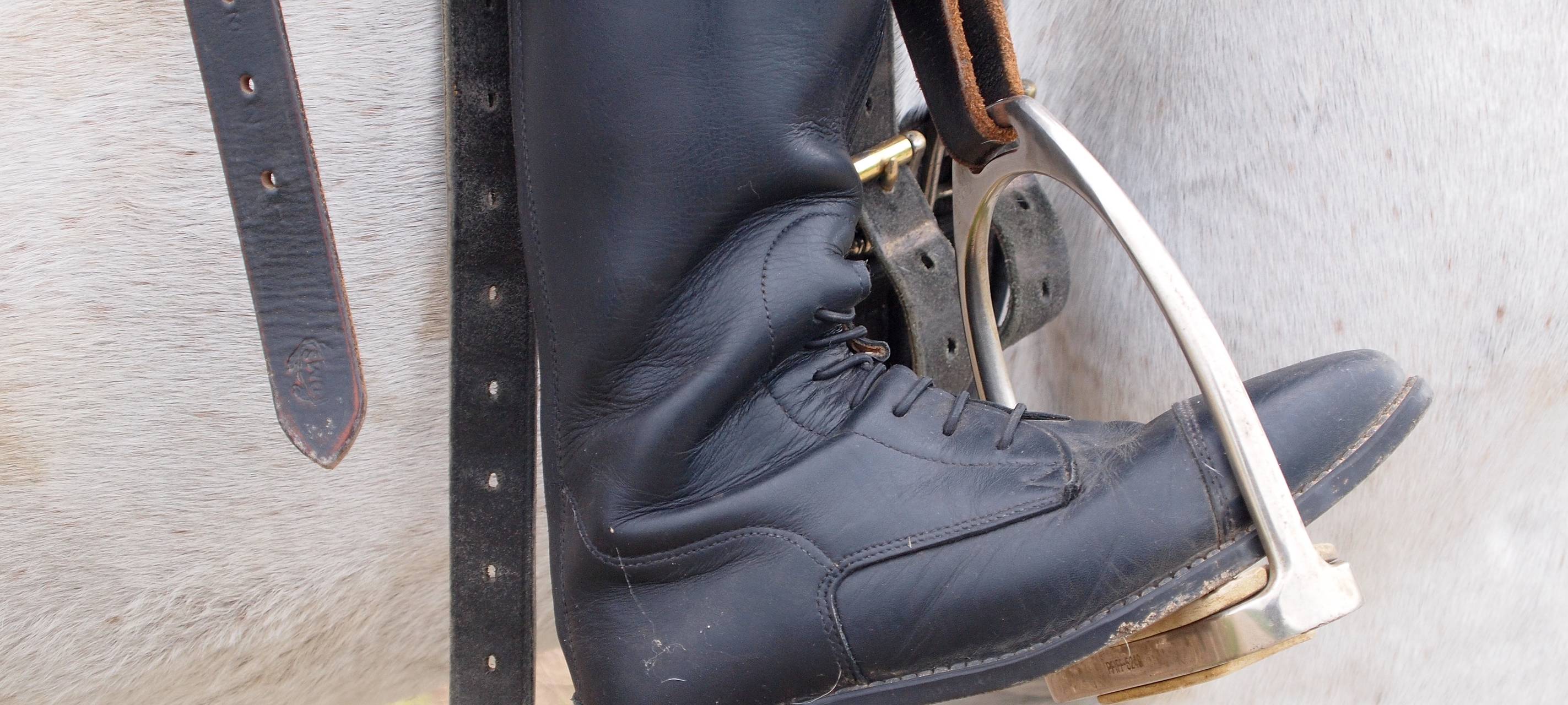 18.-20. Juni - Anatomisch Richtiges Reiten ARR-Kurs in Goch