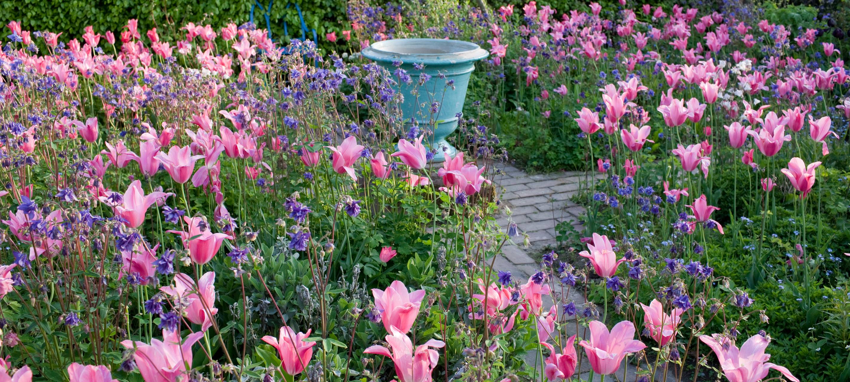 23. + 24. Mai - Private Gärten an Pfingsten geöffnet