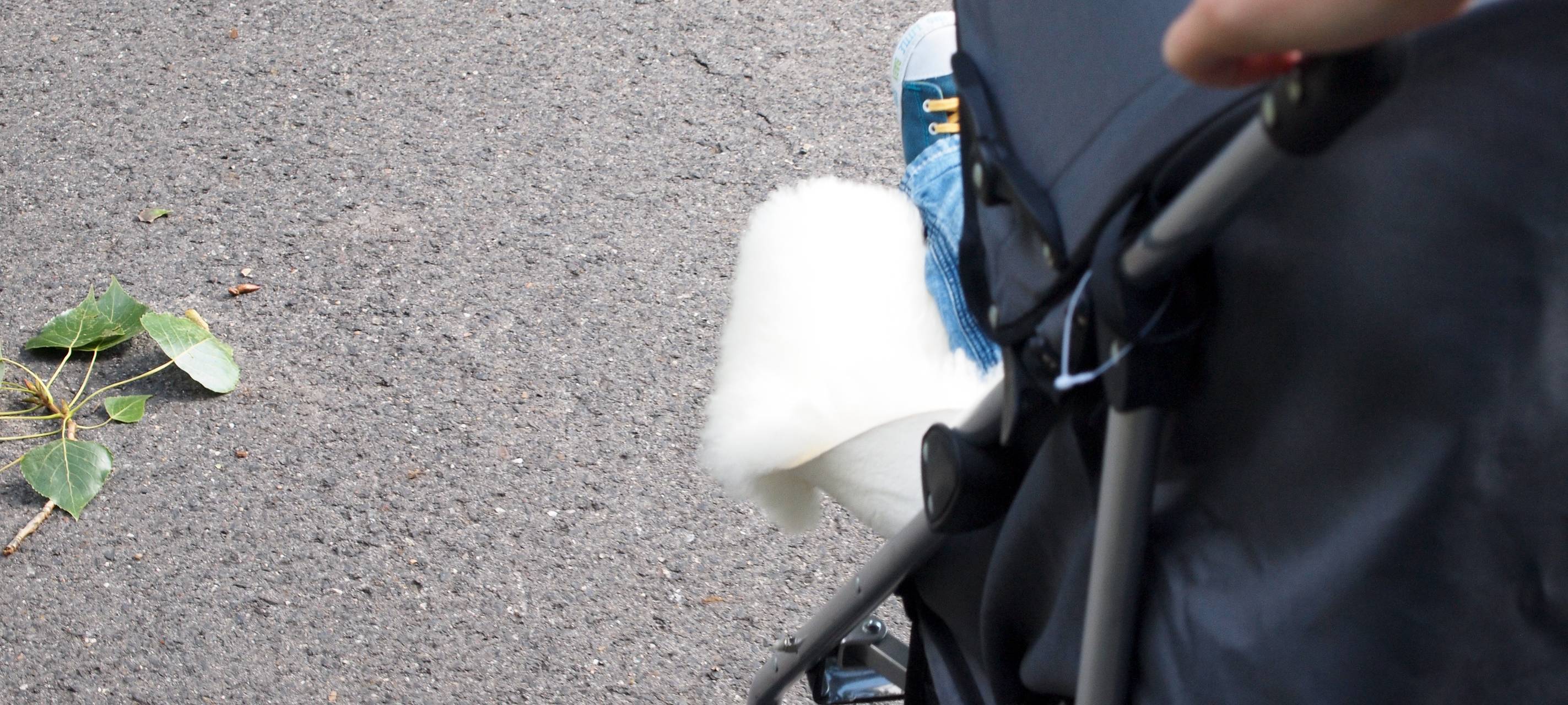 Kreis Kleve: Entgegen dem Landestrend kreisweit mehr Babys geboren