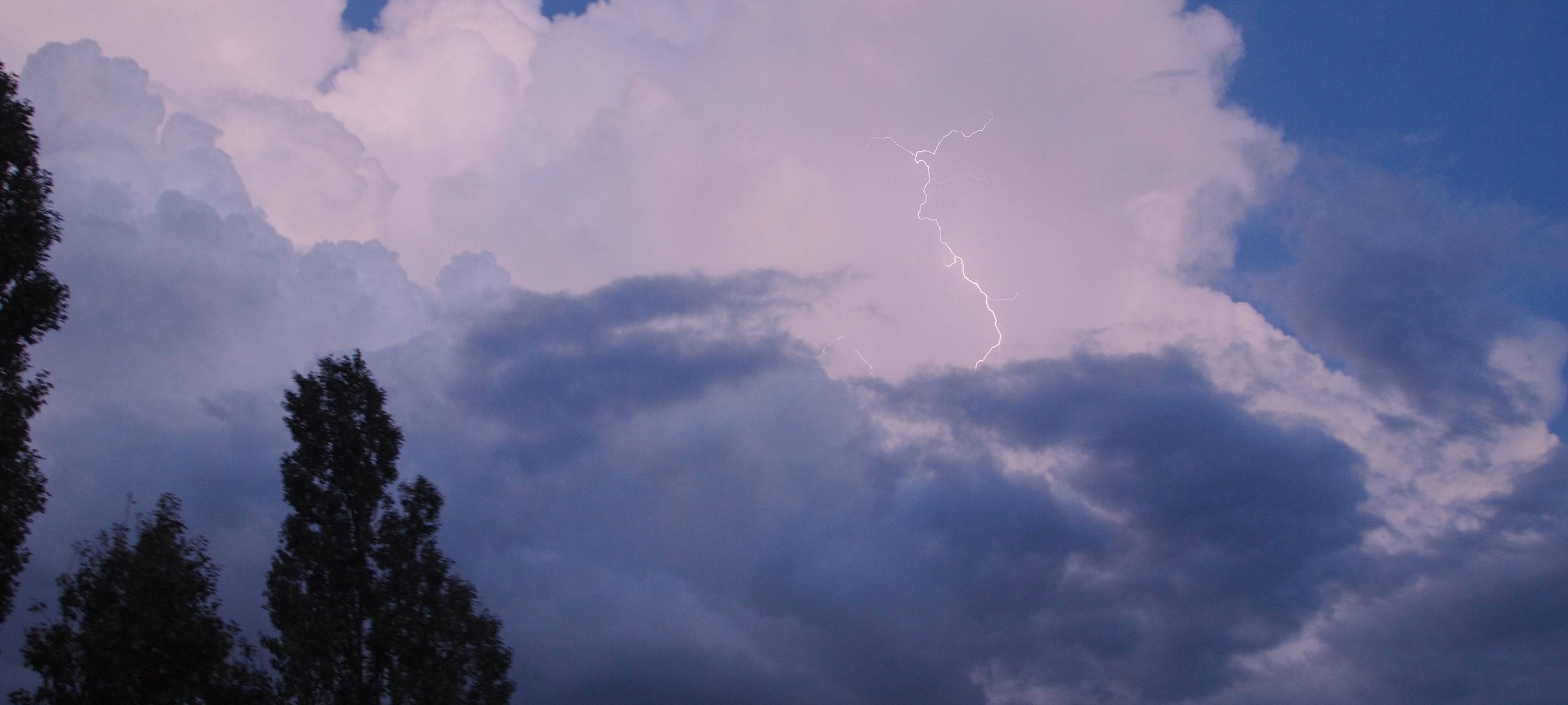 Niederrhein: Unwetter entwurzelte Bäume - Blitzeinschläge