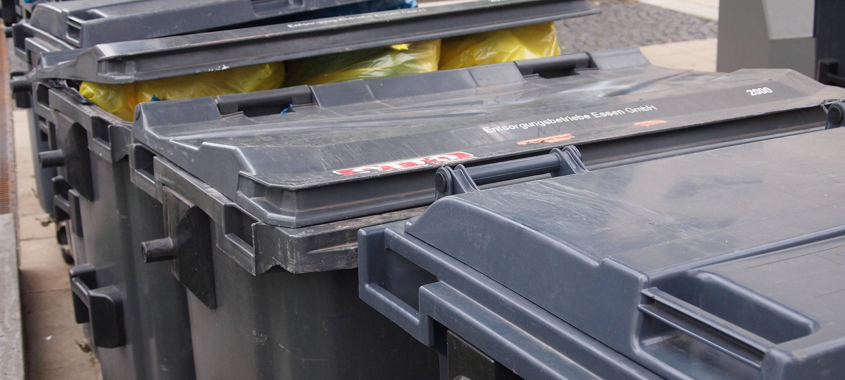 Kleve: Papier- und Restmüllabfuhr werden getrennt