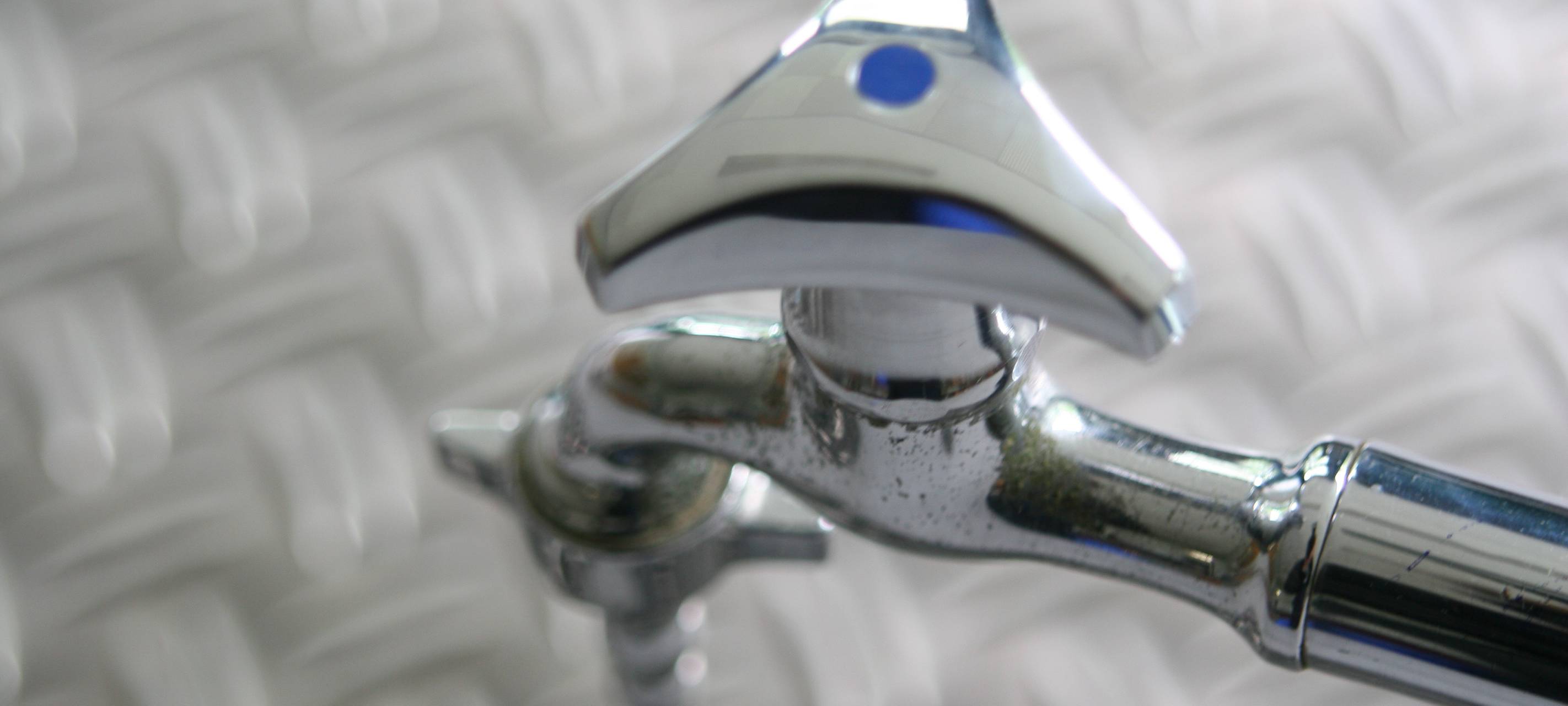 Kleve: Bürger sollen Bäume bewässern