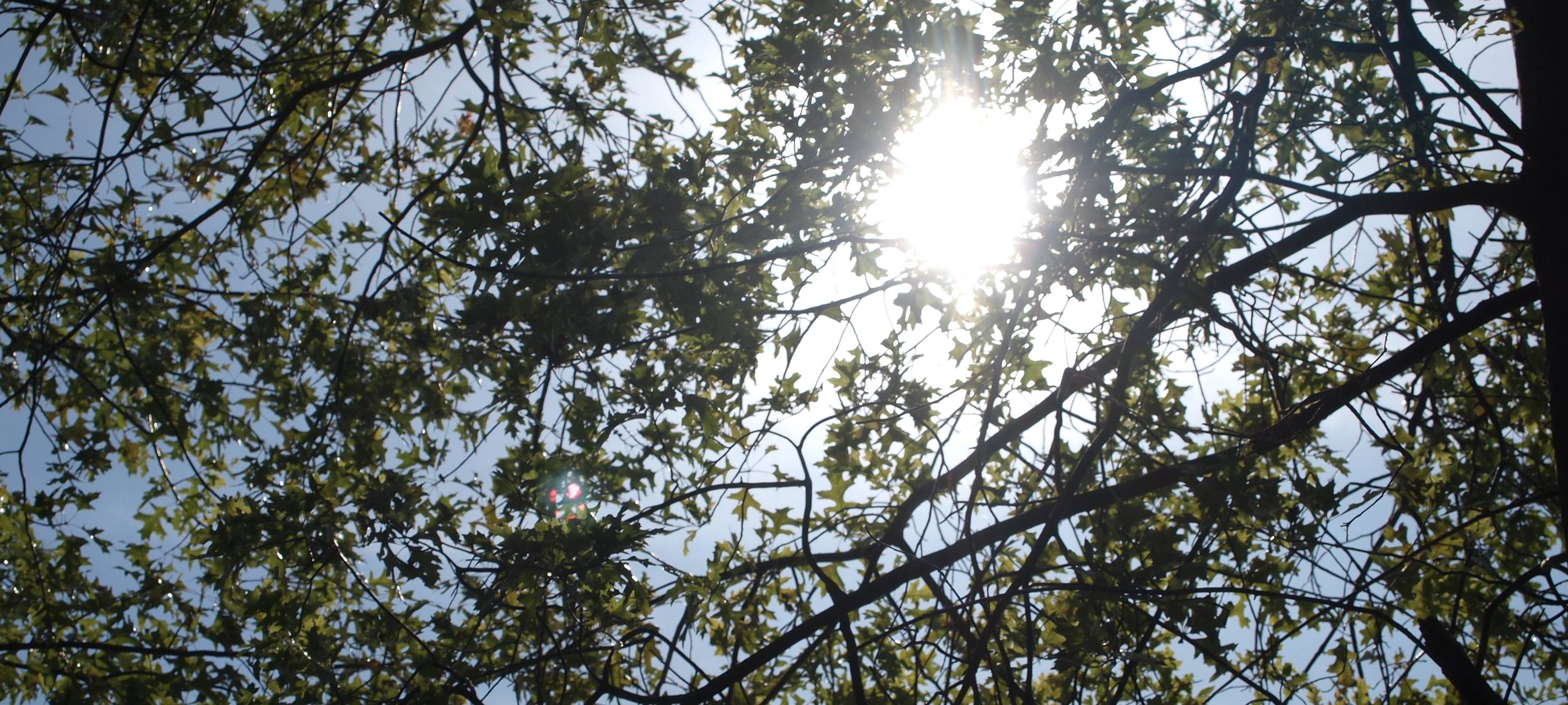 Kreis Kleve: Amtliche UV-Warnung