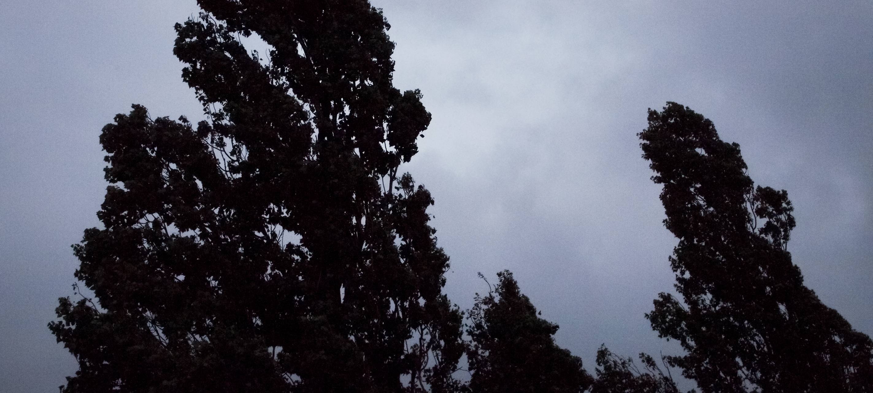 Kreis Kleve: Geringfügige Schäden durch Regen und Sturmböen