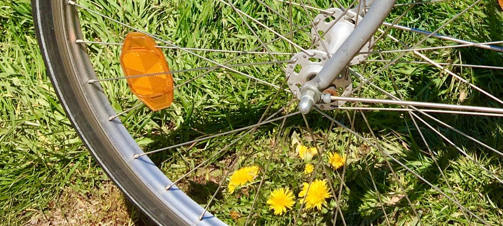 Rikscha-Touren ins Grüne rund um Straelen