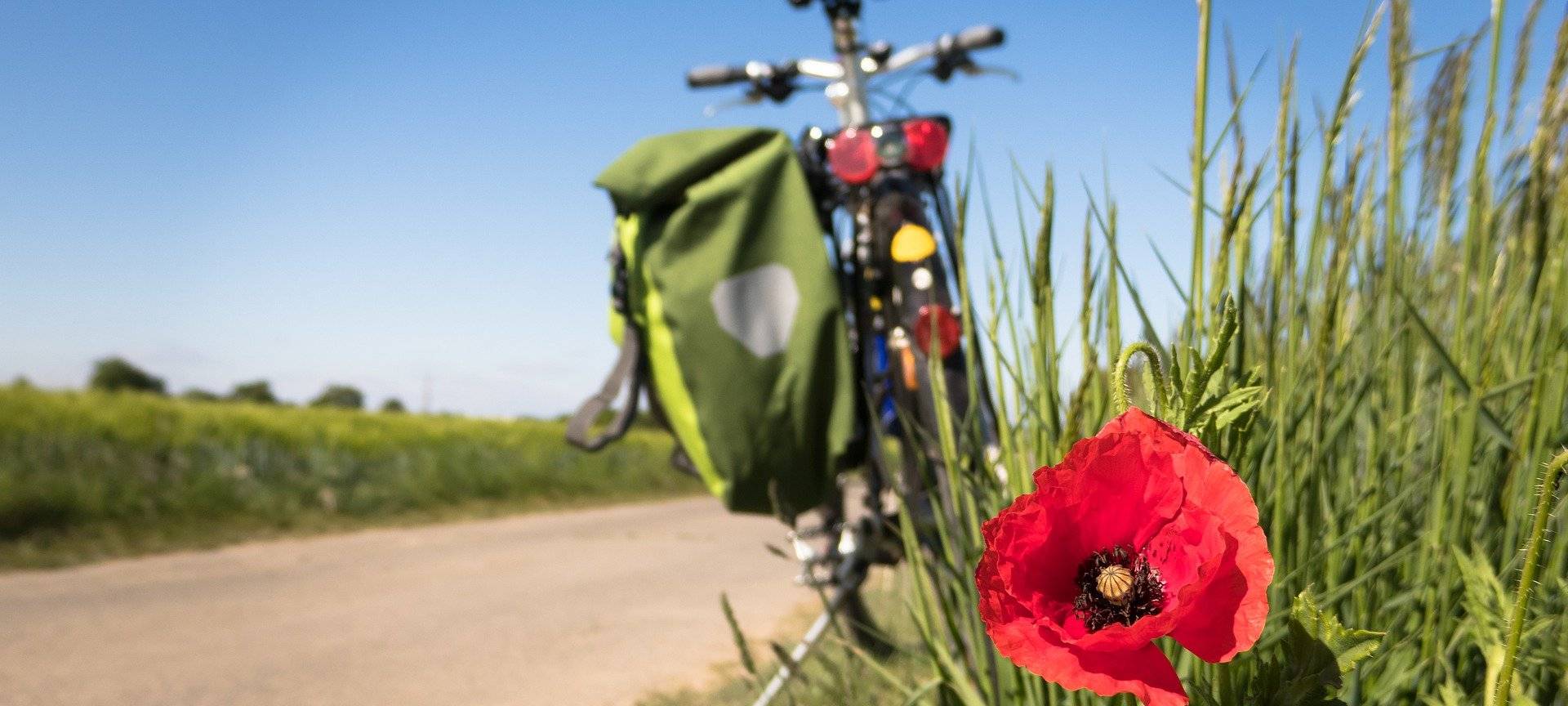 Kreis Kleve: Rees und Geldern schneiden beim Fahrradklimatest am Besten ab