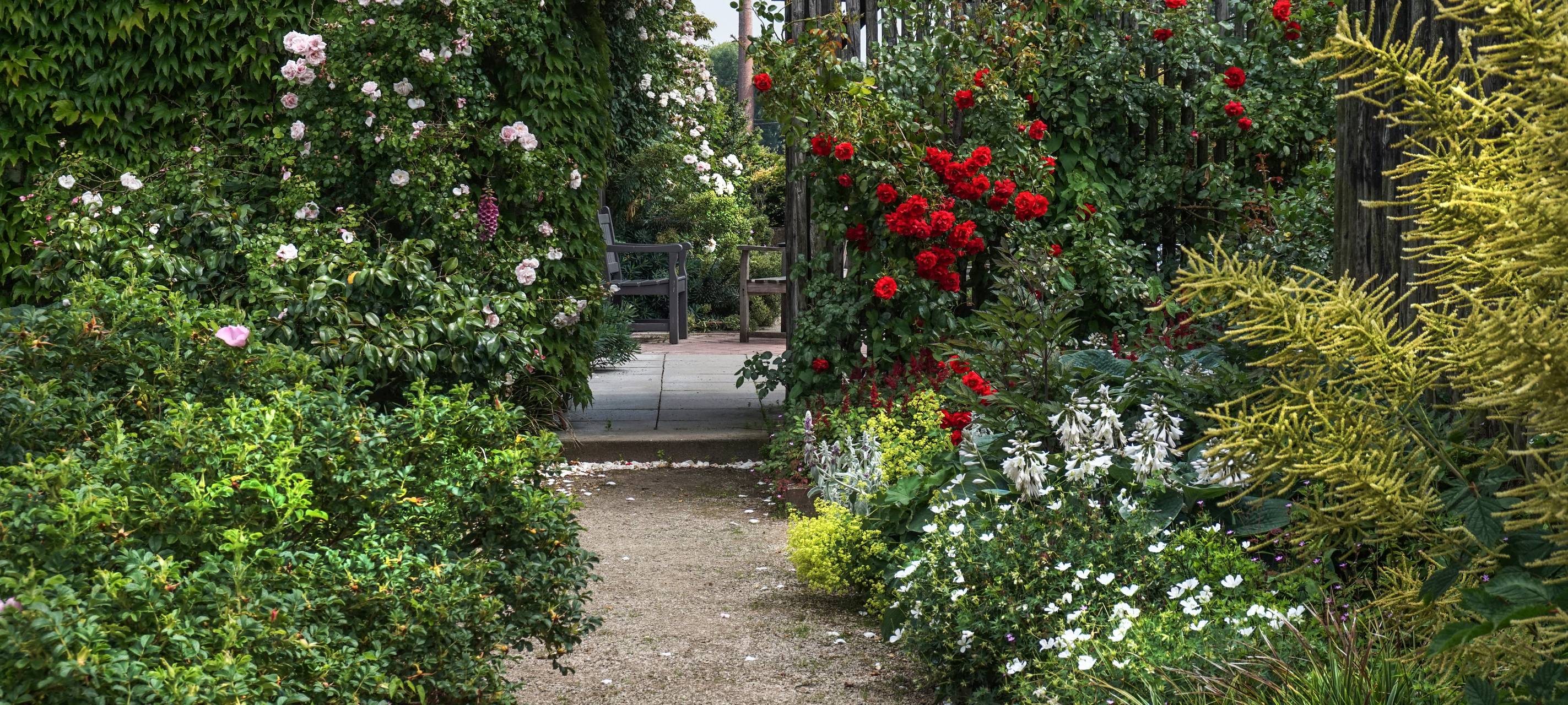 Offene Gärten im Kleverland 2025