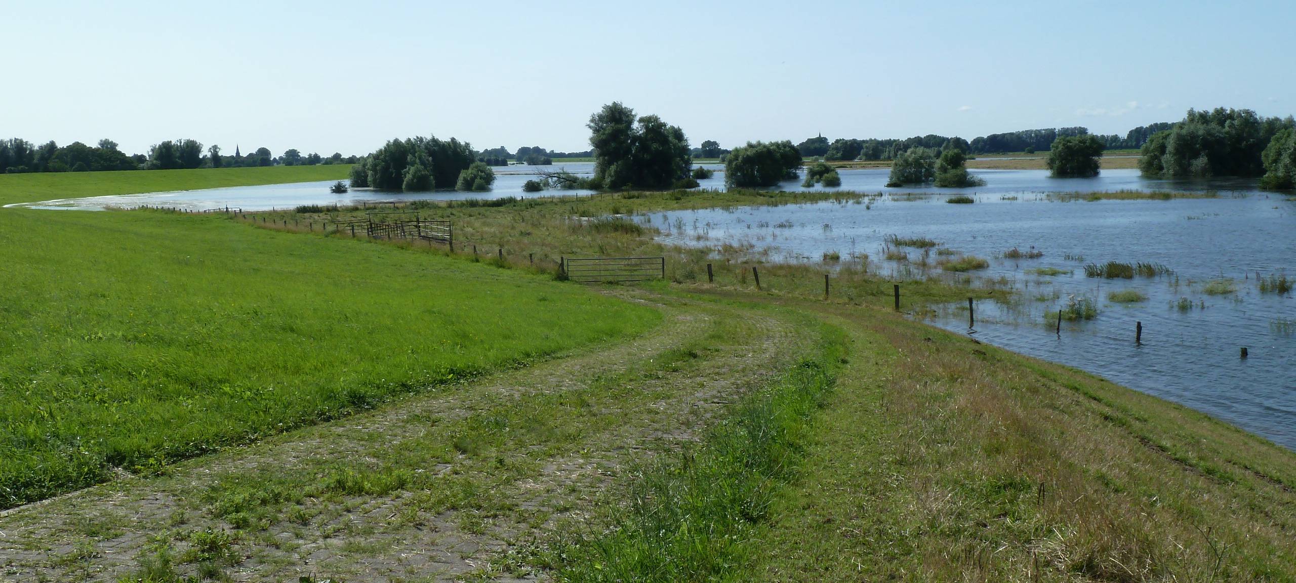 Rees: Weitere Deichsanierung hat begonnen