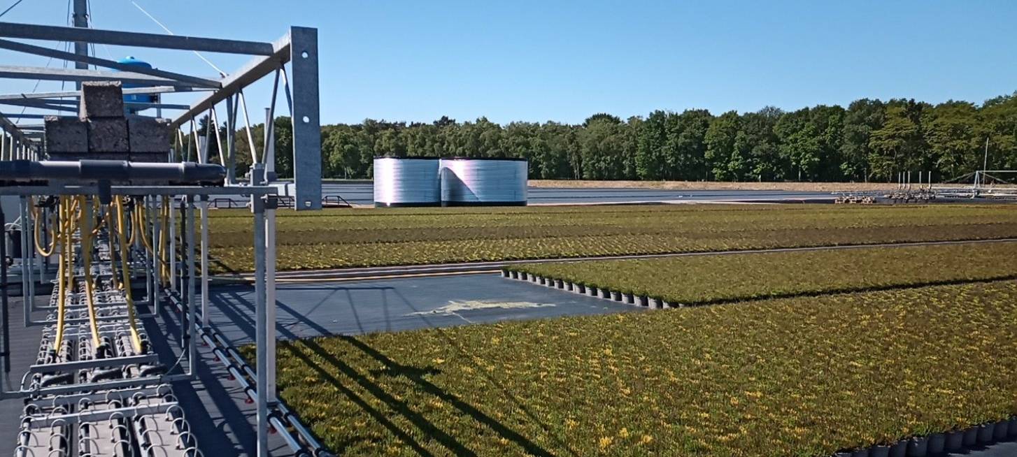 Euregio: 3,7 Millionen Euro für Agrobusiness