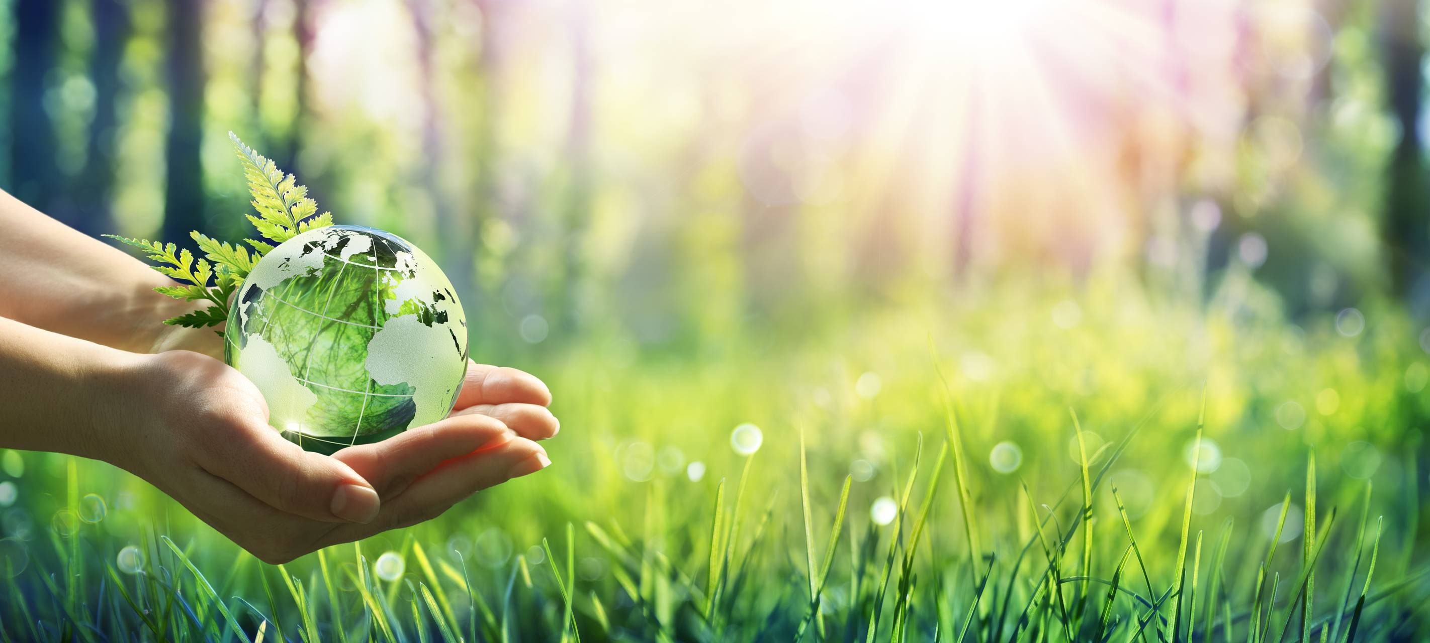 Kreis Kleve: Besserer Schutz für Schutzgebiete