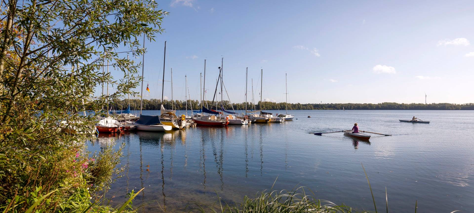 Rees: Grüne wollen PV-Anlagen für Ferienpark