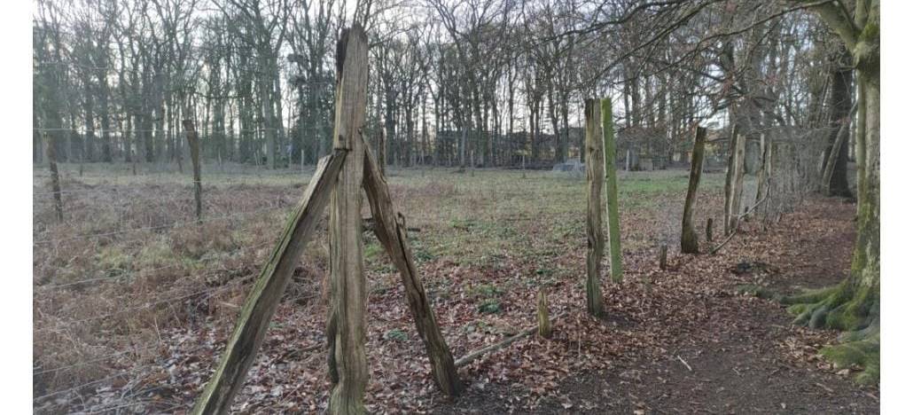 Wildgehege Reichswalde braucht neue Zäune