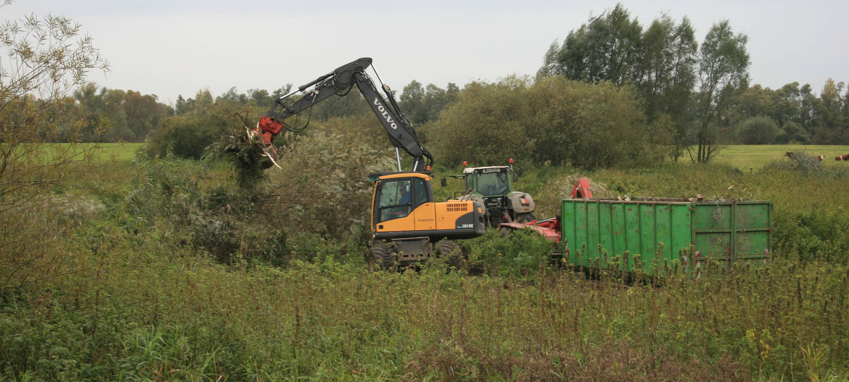 Emmerich: Rodungsarbeiten in der Emmericher Ward starten