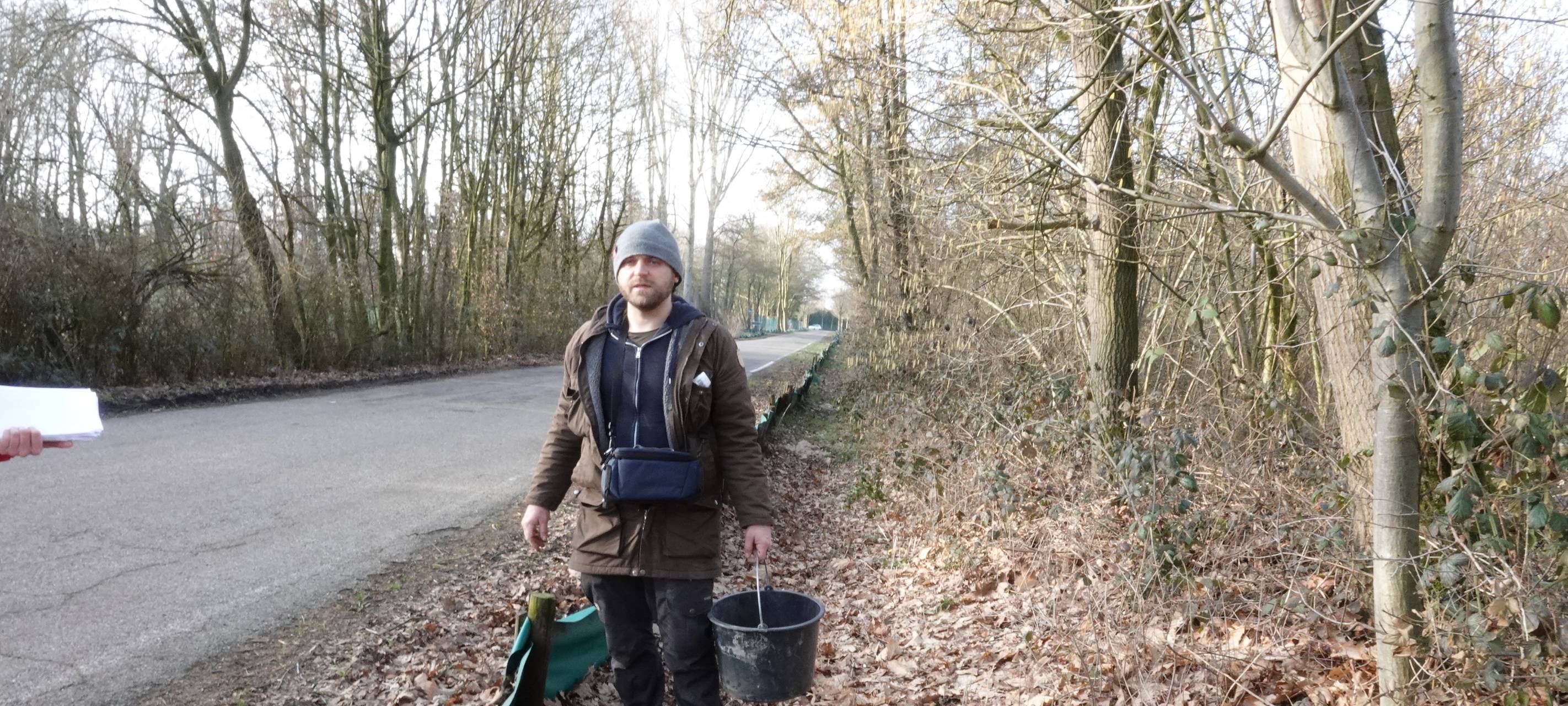 Noch Helfer gesucht - Krötenwanderung beginnt