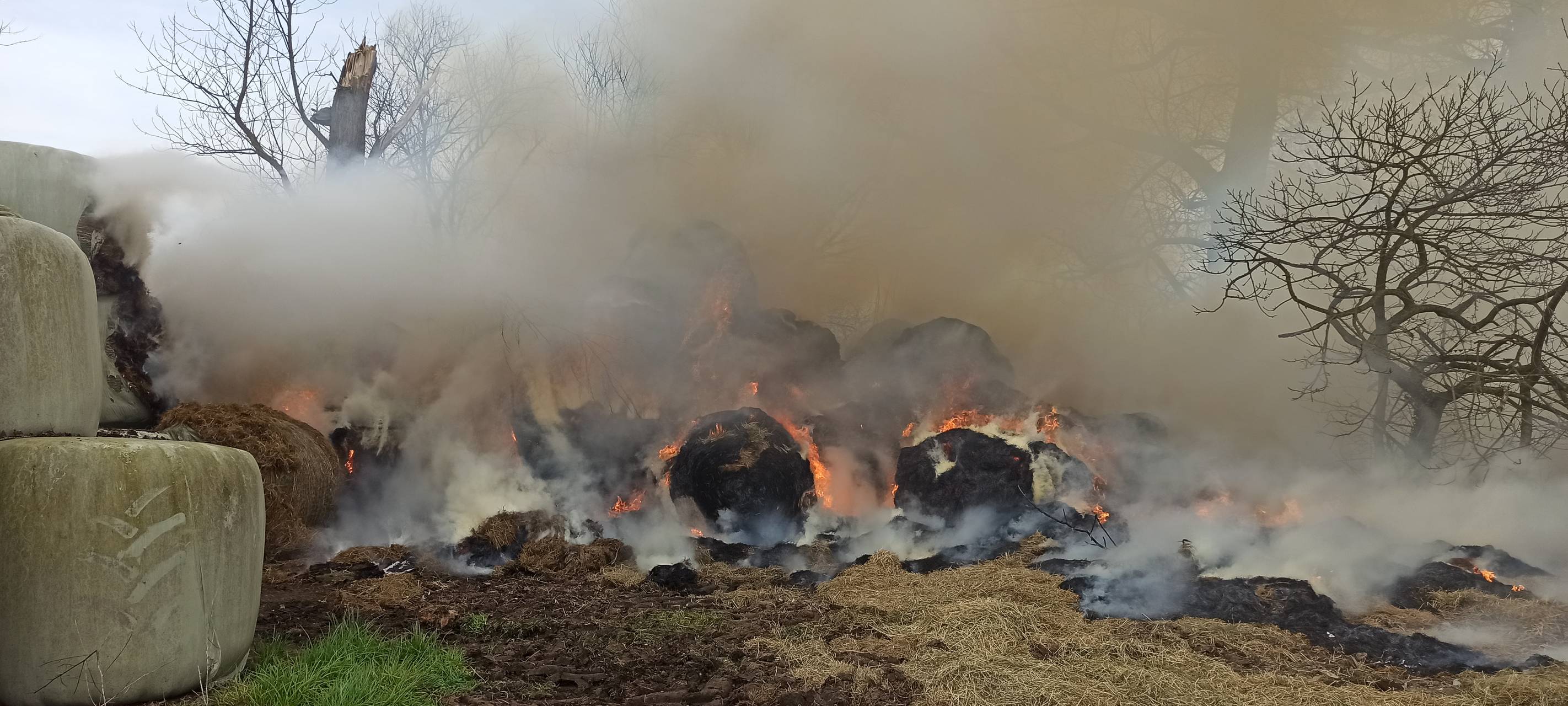 Goch/Bedburg-Hau: Heuballen und Baumschnitt brannten